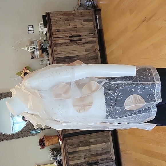 Vintage Saint Gil Paris Sheer Blouse - Picture 4 of 16